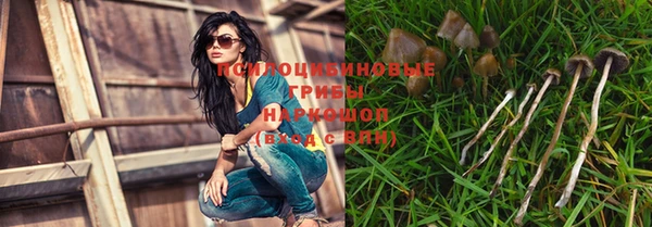 кокс Алзамай
