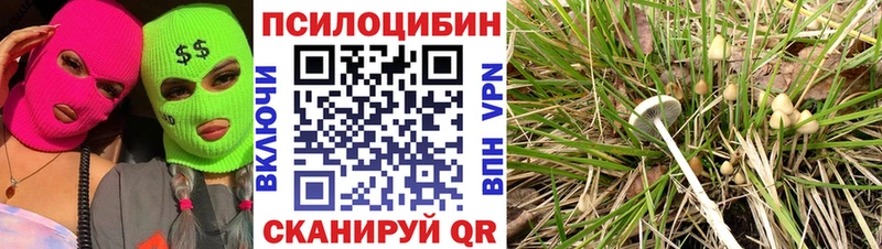Галлюциногенные грибы прущие грибы  что такое наркотик  Тюмень 