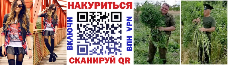 цена наркотик  Тюмень  mega зеркало  Марихуана OG Kush 